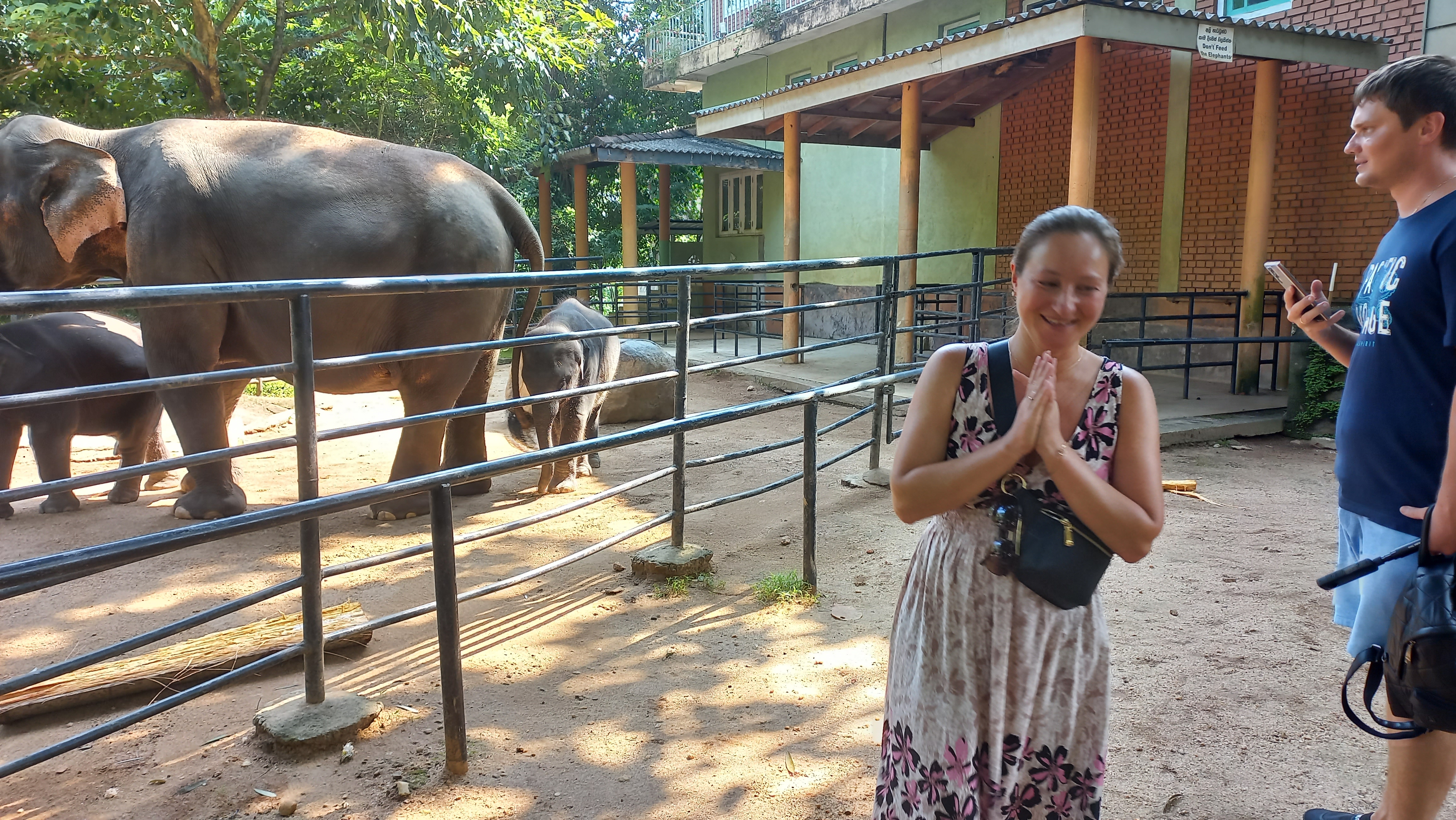 Pinnawala Tour Package